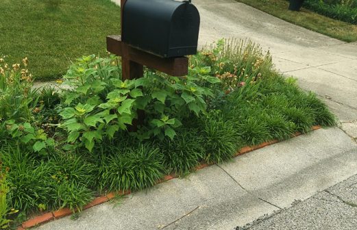 Ben Oaks Landscaping Cincinnati Landscaping Mulch Bed Mailbox