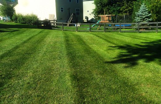 Ben Oaks Landscaping Cincinnati Lawn Care