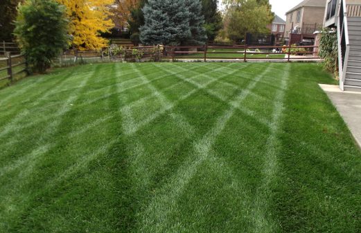 Ben Oaks Landscaping Cincinnati Lawn Care