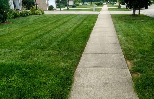 Ben Oaks Landscaping Cincinnati Lawn Care Edging